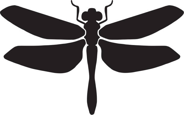 Icon Icon dragonfly stock illustrations