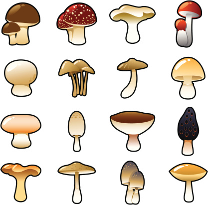 Icons - Mushroom