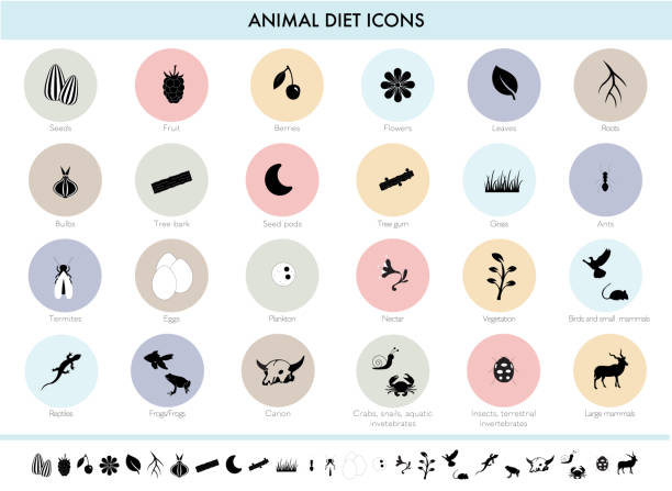 Icons of animal diet Icons of animal diet carrion stock illustrations