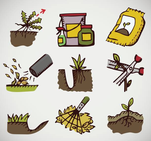 Icons set for horticulture Icons of aeration, fertilizer, seeding, leafs clean up, trenching, mulching and pruning mulch stock illustrations