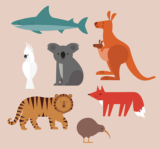 Icons set of vector animals Icons set of vector animals isolated on beige background. Vector illustration of cute animal set including kangaroo, fox, cockatoo, tiger,shark, kiwi, and koala. simple fish drawings stock illustrations