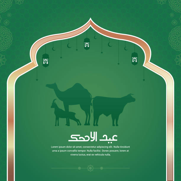 Ied Al Adha Moslem Festive with Sheep, Camel, Cow and Lantern and Mandala with Green Background Ied Al Adha Moslem Festive with Sheep, Camel, Cow and Lantern and Mandala with Green Background eid al adha calligraphy stock illustrations
