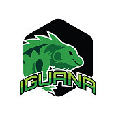 iguana insignia for your business, vector illustration
