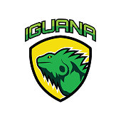 iguana insignia for your business, vector illustration
