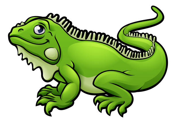 Image result for iguana clip art