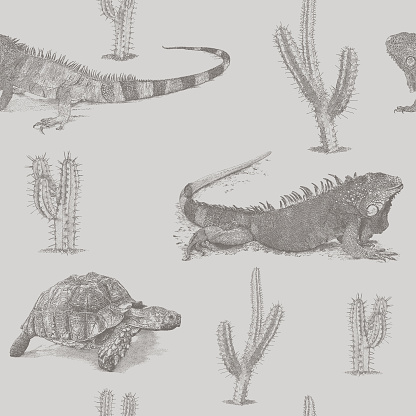 Iguana, Tortoise, Cactus Tonal Repeat Pattern