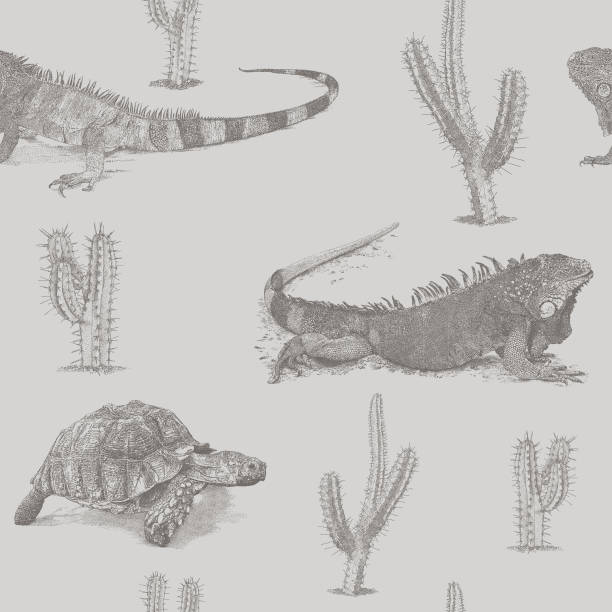 leguan, schildkröte, kaktus tonal repeat muster - galápagos stock-grafiken, -clipart, -cartoons und -symbole