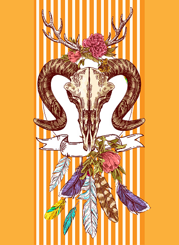 Illustration Animal Skull Stock Vektor Art Und Mehr Bilder
