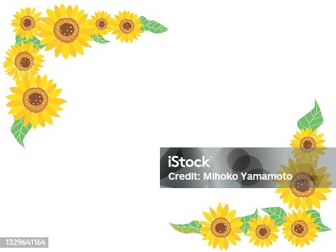 istock Illustration frame of the summer yellow sunflower. 1329641164