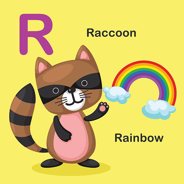 Download Best Baby Raccoon Illustrations, Royalty-Free Vector ...