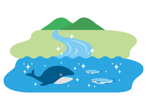 山から海に流れるきれいな水ときれいな海のクジラや魚が流れる川のイラスト 河川のベクターアート素材や画像を多数ご用意 河川 山 アイコン Istock
