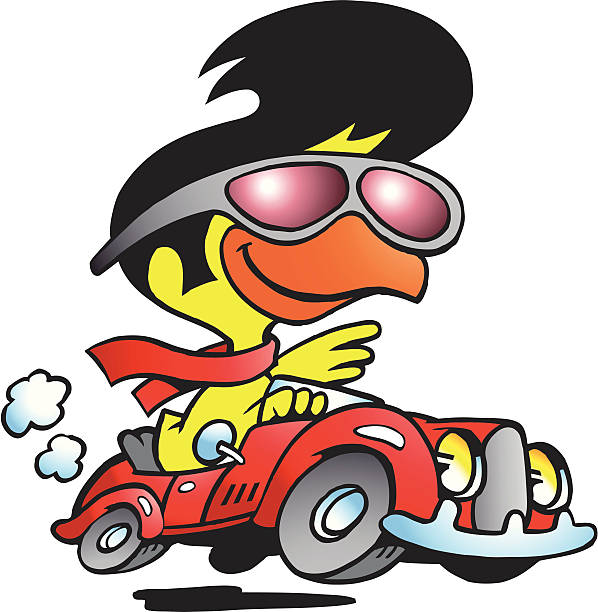 bildbanksillustrationer, clip art samt tecknat material och ikoner med illustration of an smart chicken driving a sports car - elvis presley