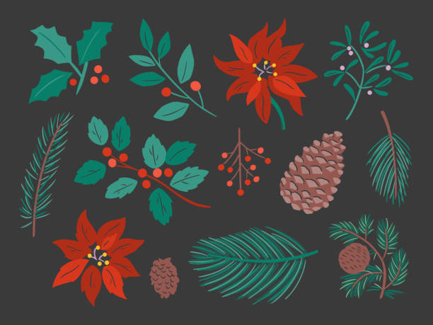 bildbanksillustrationer, clip art samt tecknat material och ikoner med illustration av diverse vinterbotenniska växter — handritade vektorelement - grankvist