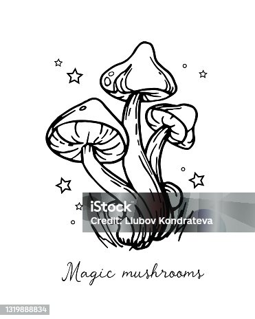 istock Illustration of autumn forest plants. Graphic vintage mushrooms with stars. Botanical illustrations. 1319888834
