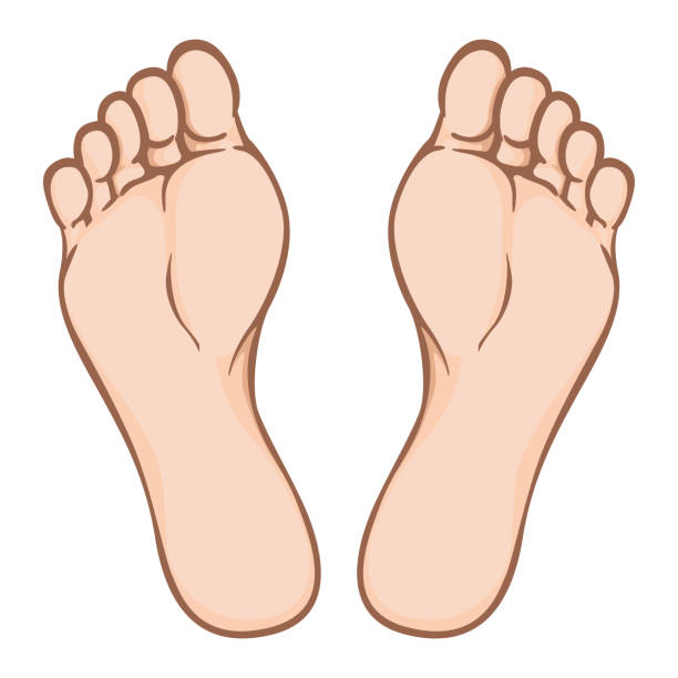 информации и институциональных материало � - pics of the tickling feet stoc...