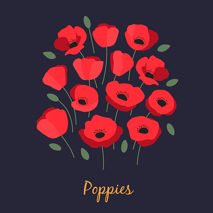 Illustration of bouquet of red poppies