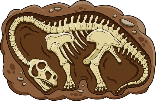Vector illustration of Illustration of cartoon brontosaurus dinosaur fossil
