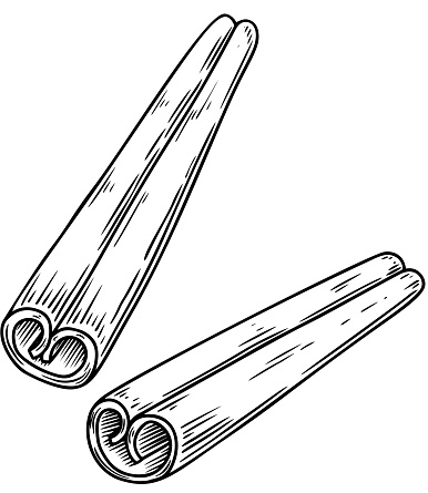 Illustration of cinnamon in engraving style. Design element for emblem, sign, poster, card, banner, flyer. Vector illustration