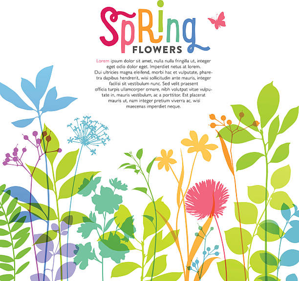 Illustration of colorful spring flowers and stems Spring flowers and stems are depicted against a plain background.  The illustration features a colorful array of flowers, leaves, greenery, blooms and stems jutting up from the bottom of the frame.  The colors used in the botanical elements include several shades of green, purple, blue, pink, orange and yellow.  The background is solid white in color.  At the top of the illustration, centered in the middle, is the word "Spring" in a variety of colors, including hot pink, orange, green, turquoise and blue.  A pink butterfly is flittering over to the right of the word. butterfly insect illustrations stock illustrations