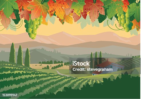 istock Illustration of colorful Tuscan vineyard landscape 153099147