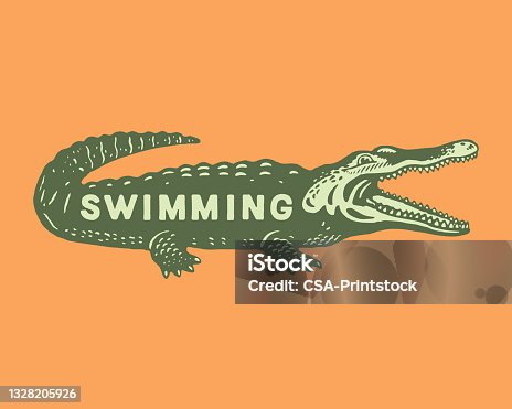 istock Illustration of crocodile with Swimming text written on it 1328205926