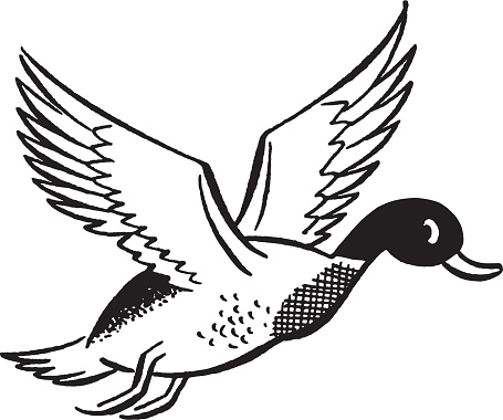 Illustration of flying duck