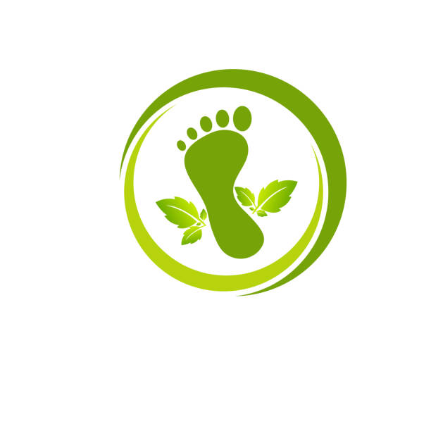 Illustration of foot made by green leaves vector art illustration