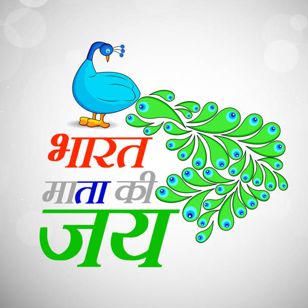 stockillustraties, clipart, cartoons en iconen met illustratie van de onafhankelijkheid van india dag achtergrond - peacock back