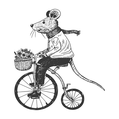 Illustration of Mouse on Penny Farthing, Vector