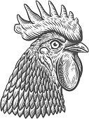 Illustration of rooster head in engraving style. Design element for label, sign, poster, t shirt. Vector illustration