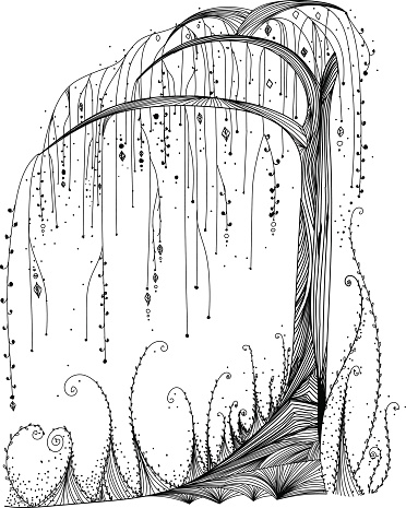 Illustration of sad willow