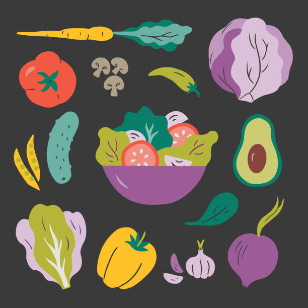 ilustrações de stock, clip art, desenhos animados e ícones de illustration of salad and fresh ingredients — hand-drawn vector elements - salad bowl
