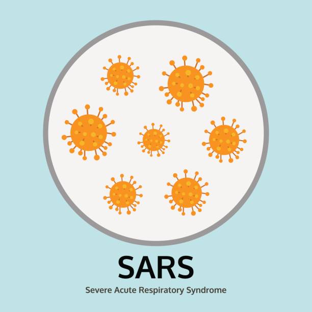 평가판 트레이, 의료 정보 그래픽 벡터에 있는 sars 바이러스 질병의 그림 - 돌연성 급성호흡기증후군 stock illustrations