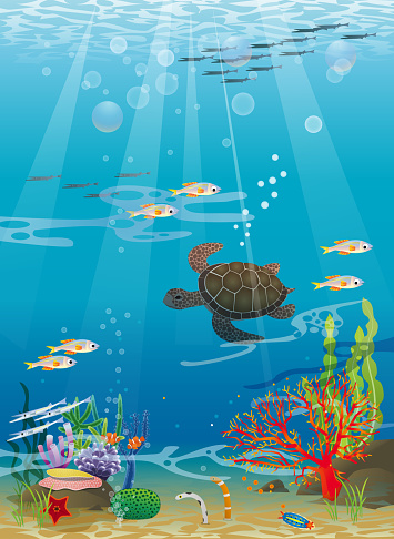 Illustration of sea turtles, fish swimming in the beautiful sea