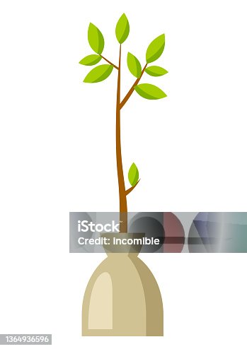 istock Illustration of seedling tree ready for planting. Gardening or agricultural image. 1364936596