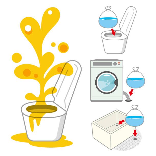 illustrations, cliparts, dessins animés et icônes de illustration des mesures de prévention de backflow d’égout sur un fond blanc - programmer machine à laver