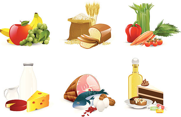 Illustration of six different food groups http://www.cumulocreative.com/istock/File Types.jpg wholegrain stock illustrations