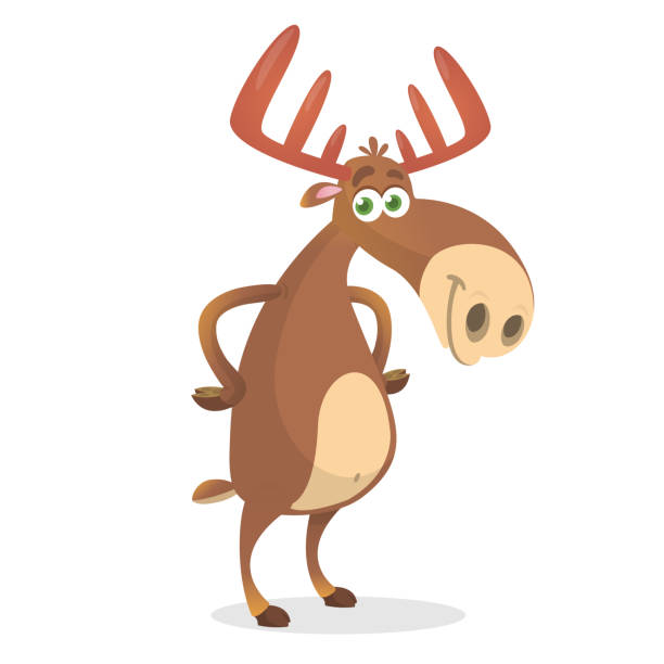 Moose Hooves Stock Photos, Pictures & Royalty-Free Images - iStock