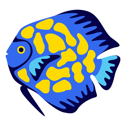Illustration of tropical discus fish. Aquarium and sea animal.