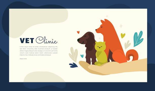 Illustration of vet clinic for web or print design Design for vet clinic, pet care, medicine, veterinary hospital. Vector illustration with healthy dogs and cat for banner, leaflet, brochure, flyer, landing page layout, presentation, blog post. pets and animals stock illustrations