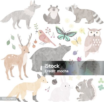 istock Illustration of wild animals in forest 1322121813