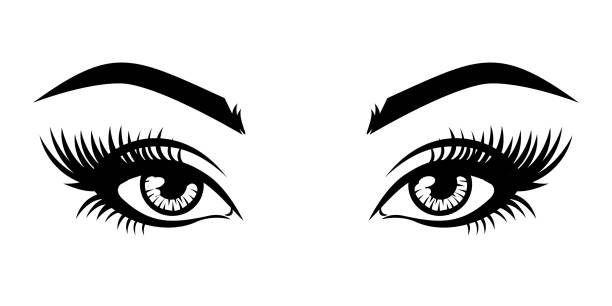 Illustration of woman's sexy luxurious eye with eyebrows and full lashes. Illustration of woman's sexy luxurious eye with eyebrows and full lashes. Idea for business visit card, typography vector. Perfect salon look. beautiful people illustrations stock illustrations
