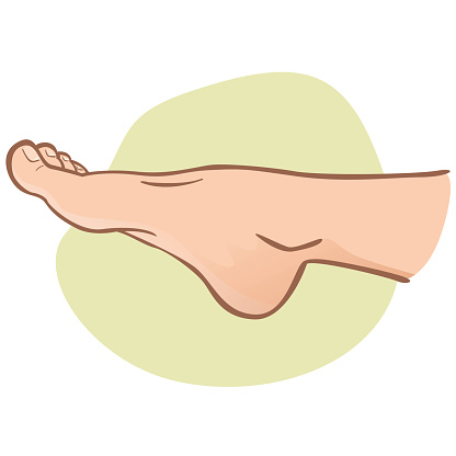 Illustration Person Human Foot Caucasian Side View Ideal For Catalogs ...