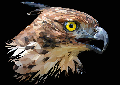 Illustration polygonal drawing of  the Changeable Hawk Eagle.