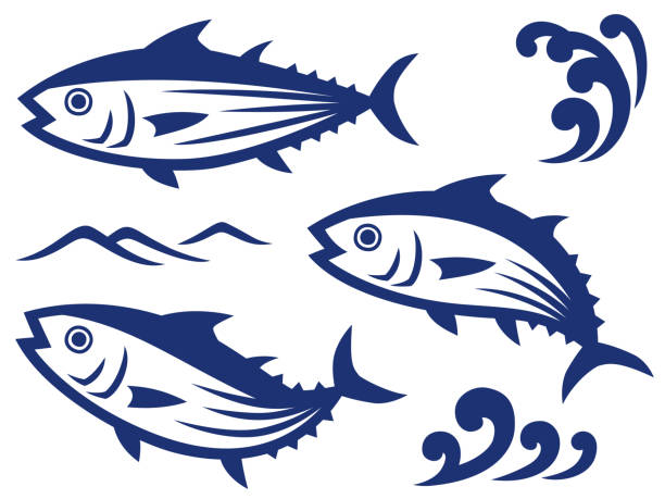 ilustraciones, imágenes clip art, dibujos animados e iconos de stock de ilustración de bonito y olas - atún pescado