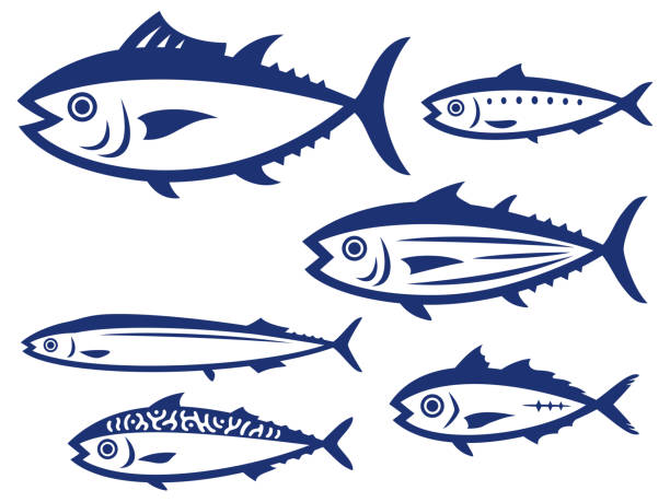 illustrazioni stock, clip art, cartoni animati e icone di tendenza di set di illustrazioni di vari pesci in stile taglio carta - tonnetto