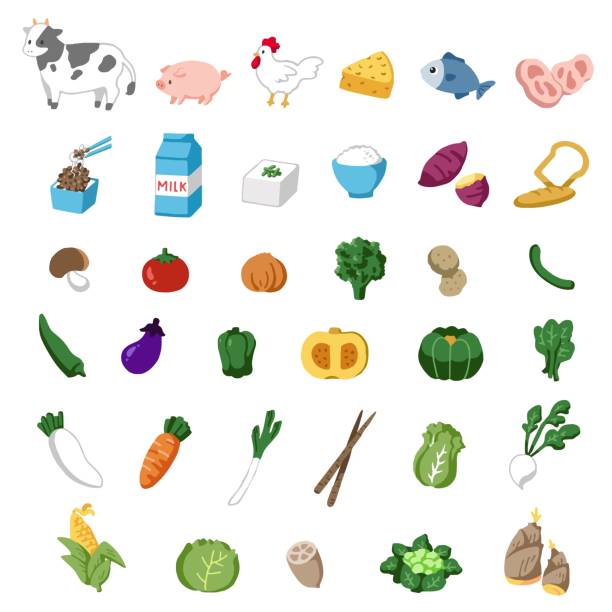 Illustration set of vegetables and meat Illustration set of vegetables and meat corn beef and cabbage stock illustrations