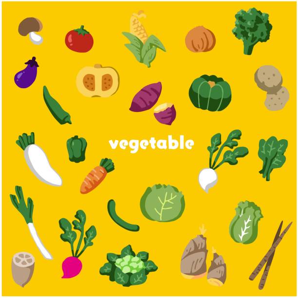 Illustration set of vegetables and meat Illustration set of vegetables and meat corn beef and cabbage stock illustrations
