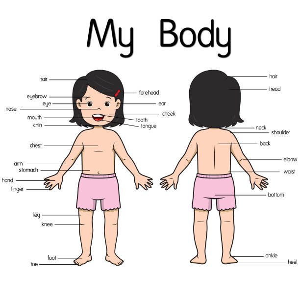 Hijra body anatomy