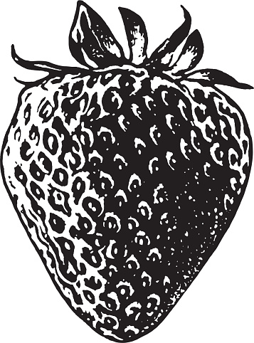 Illustration with black and white strawberry